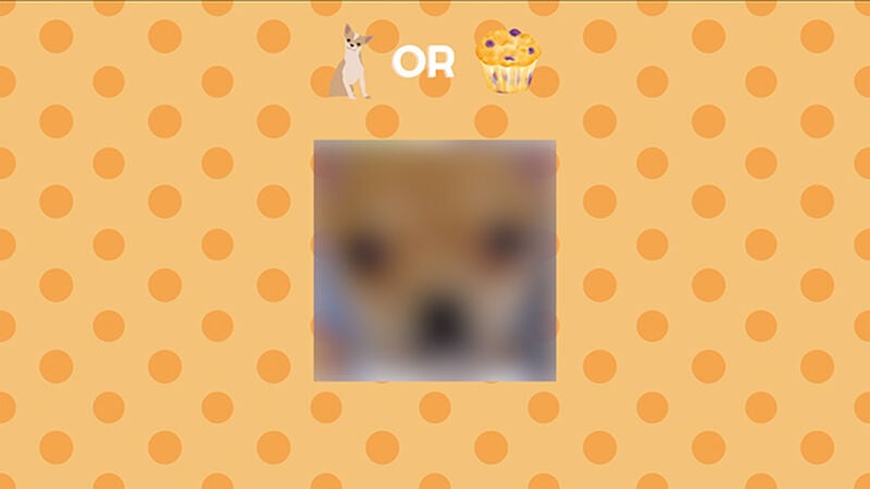 Chihuahua or Muffin - Countdown Video and Game